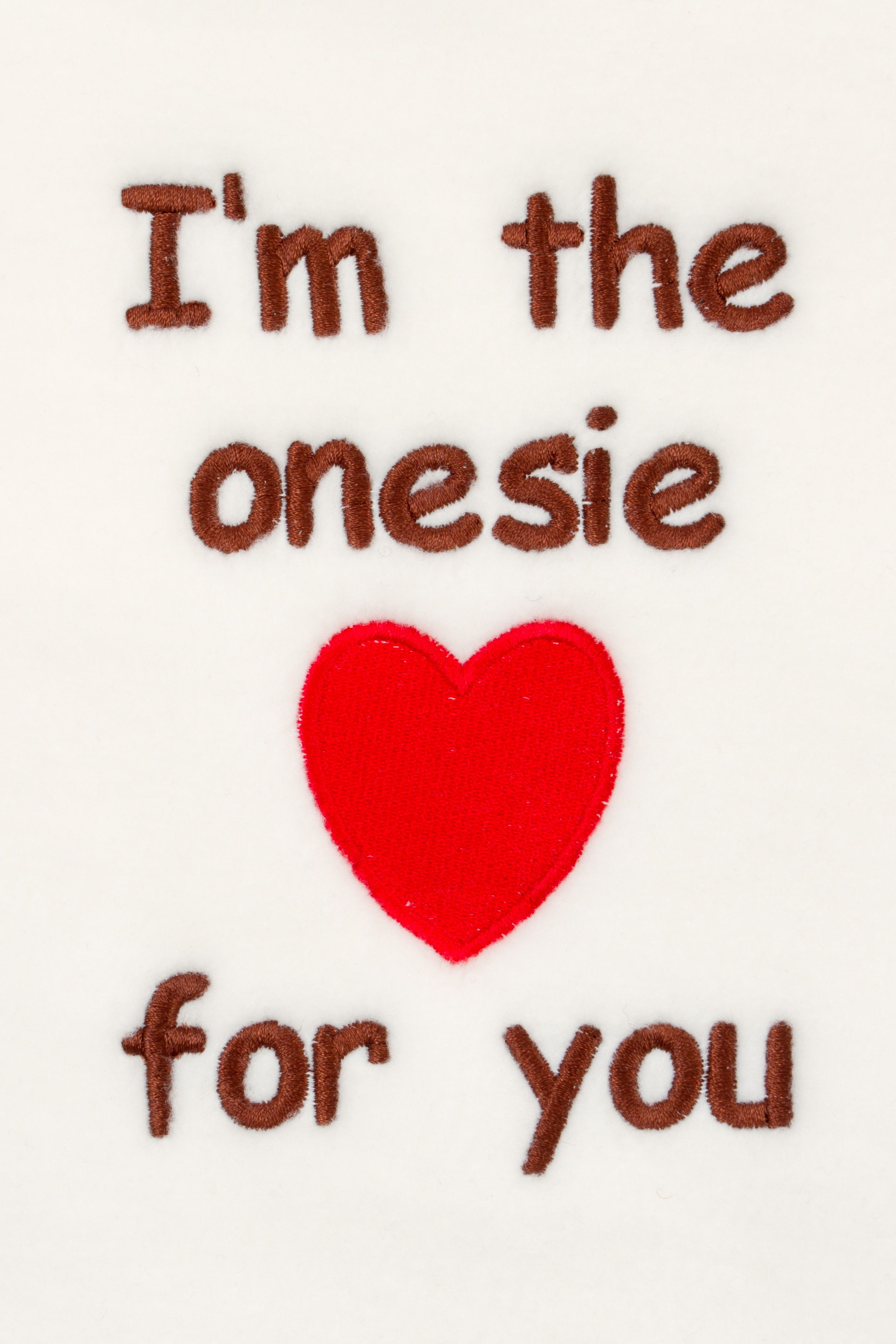 'I'm the Onesie for You.'  Happy Valentines Day Onesie Fans
