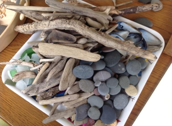 A collection of pebbles and wood  to create Beach Art