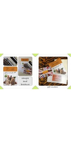 Sample & Brochure and Gift Vouchers for Onesies