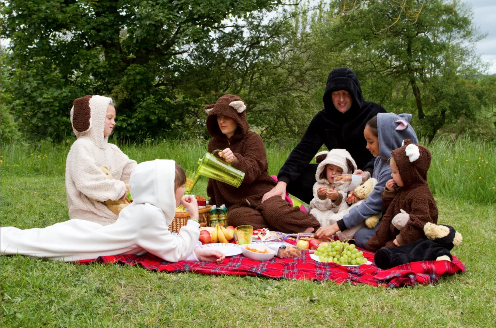 Onesie Teddy Bear Picnic