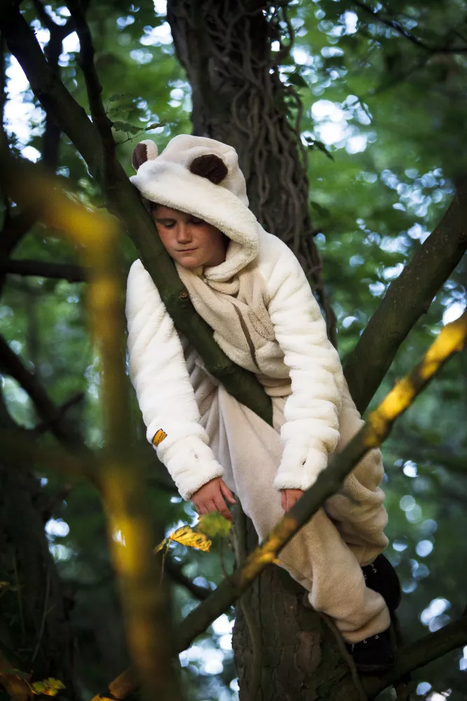 The All-in-One Company Customer Reviews - ‘First Class all round!