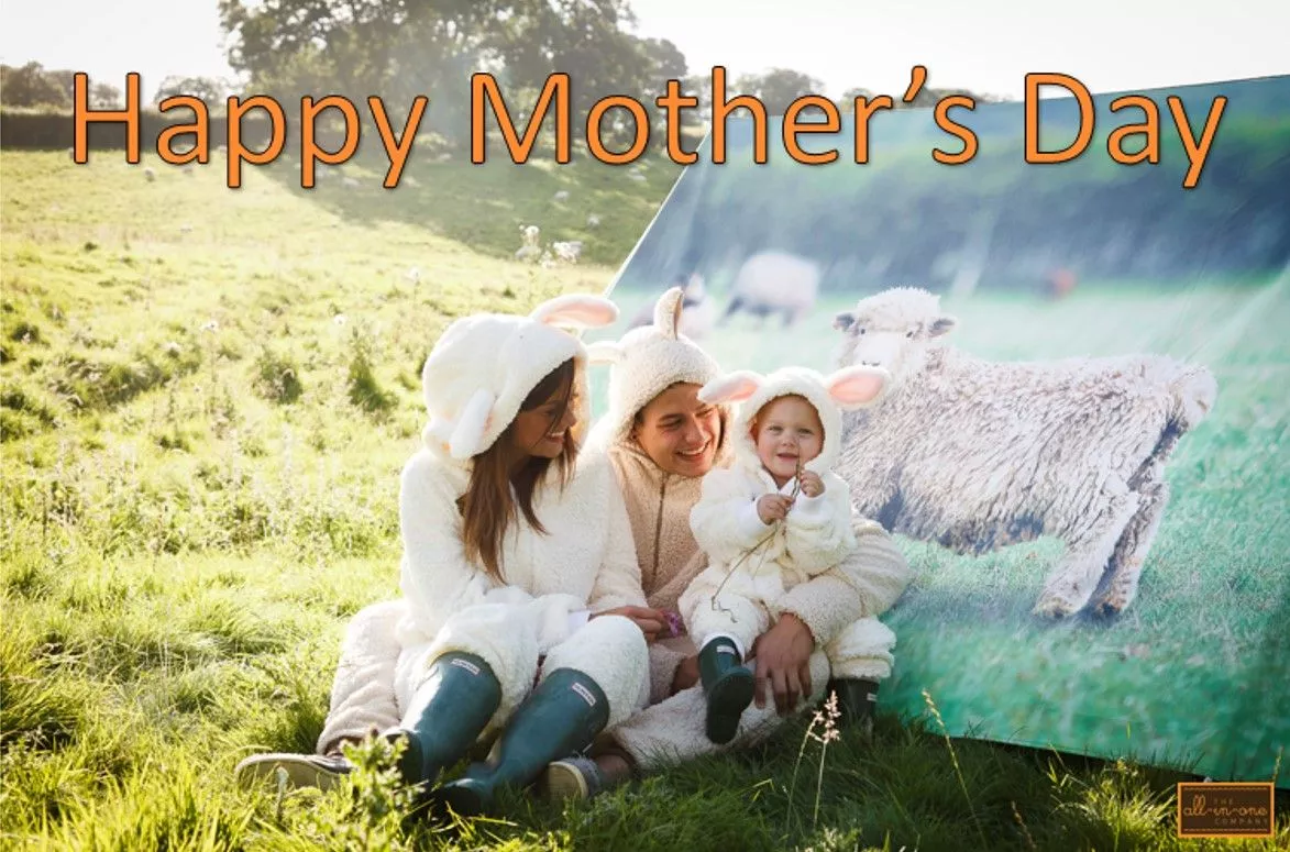 One'sie' In A Million: Happy Mother's Day!
