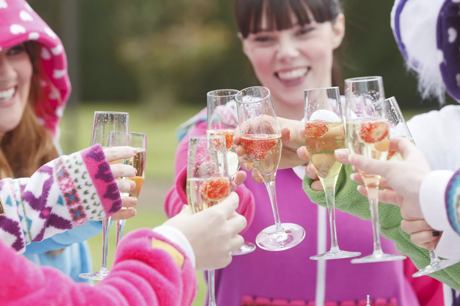 The All-in-One Company - 'Excellent product quality and first class customer service'