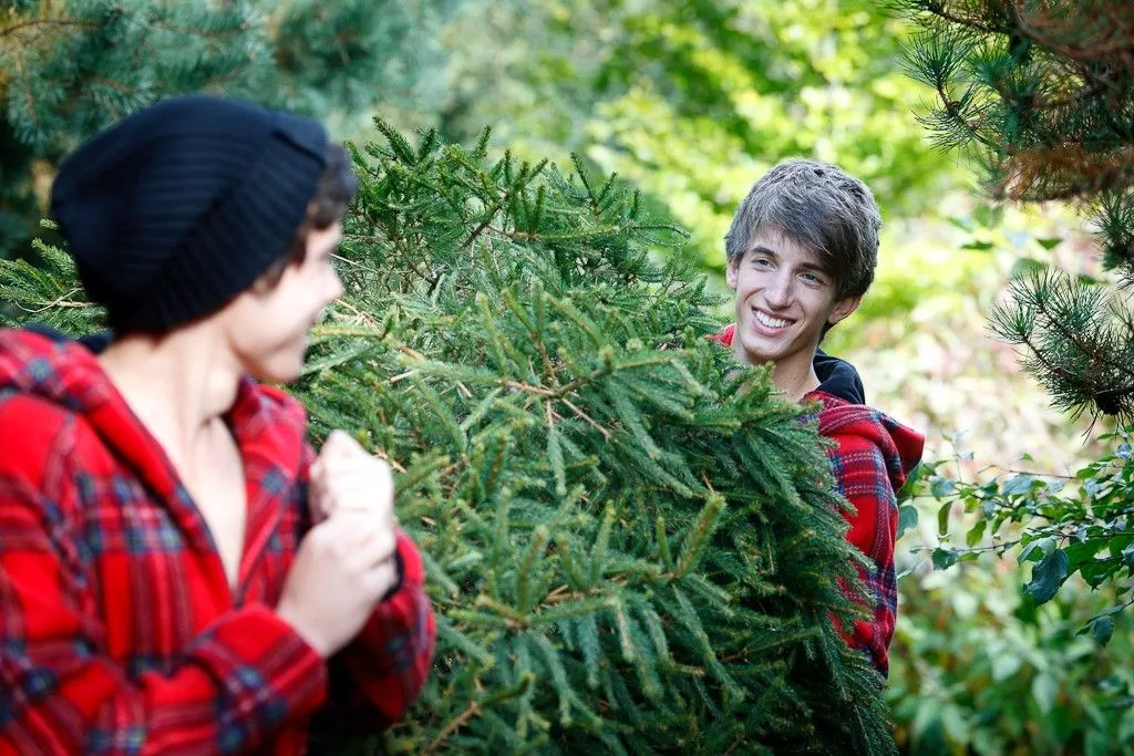 Christmas Traditions