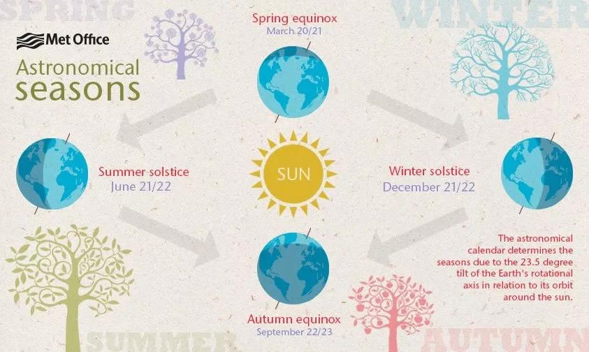 Onesie Indoor Gardening