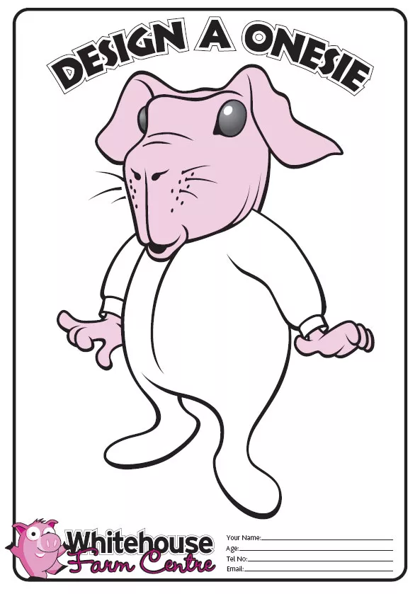 Onesie for a Skinny Pig - Final Chance to Enter our Competition