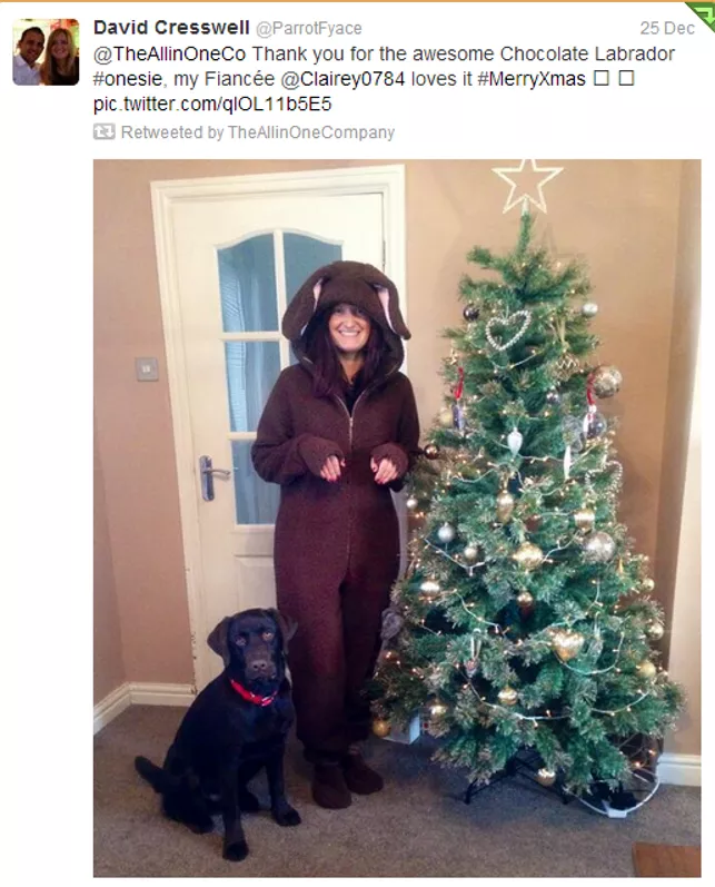 Onesie Review: Awesome Chocolate Labrador