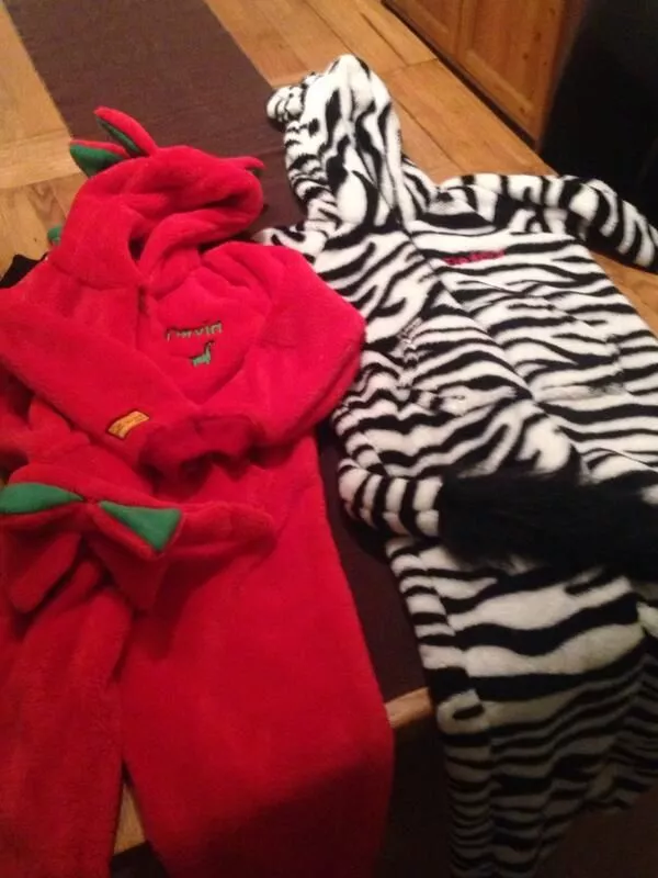 Onesie Review: Delighted with Dinosaurs