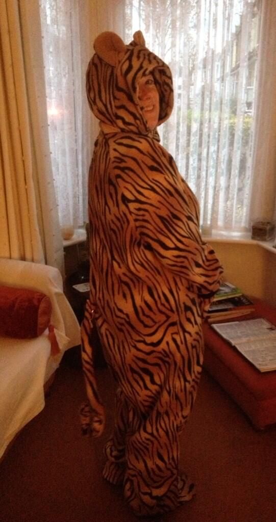 Onesie Review: Looking Roarrrrrr'some!