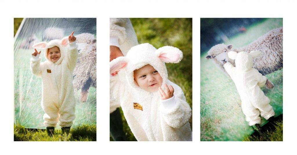 Onesie Lambs: Step into Spring